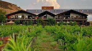 Sula Vineyards